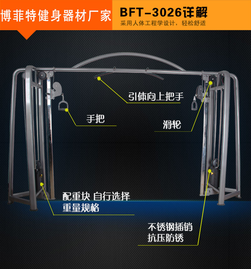 大飛鳥健身器材